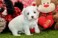 processed/8434c1e3-3117-4f86-8222-c838ca908755/listing/0bd6c494-a4dc-43cd-8a2a-61e610f36c69/2b7a2fda-2283-4a40-80c3-13d434898a4a