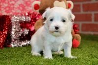 processed/8434c1e3-3117-4f86-8222-c838ca908755/listing/0bd6c494-a4dc-43cd-8a2a-61e610f36c69/34cb5b79-abf1-49d7-80b2-ad850264f0d6