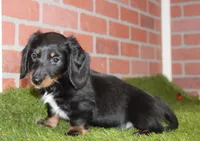 processed/8434c1e3-3117-4f86-8222-c838ca908755/listing/137f4ce0-c272-4089-ae62-a3434844d47e/447d8cea-9187-46bc-9a1c-68d61ecb25bb