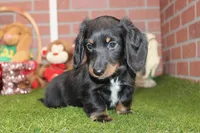 processed/8434c1e3-3117-4f86-8222-c838ca908755/listing/137f4ce0-c272-4089-ae62-a3434844d47e/4be826cf-4149-4ae0-981b-97267e220b56