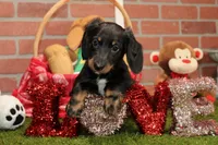 processed/8434c1e3-3117-4f86-8222-c838ca908755/listing/137f4ce0-c272-4089-ae62-a3434844d47e/759870e9-b34b-4b14-b023-7330b6d2d730