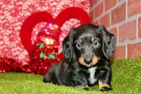 processed/8434c1e3-3117-4f86-8222-c838ca908755/listing/137f4ce0-c272-4089-ae62-a3434844d47e/9629cce8-f8fb-455e-8a08-a03533a3cd74