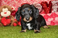 processed/8434c1e3-3117-4f86-8222-c838ca908755/listing/137f4ce0-c272-4089-ae62-a3434844d47e/e6eb476e-b988-4367-9ee9-f337352006a5