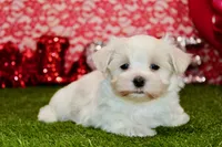 processed/8434c1e3-3117-4f86-8222-c838ca908755/listing/46631c45-68d1-494e-80c6-7854a5bcaea5/667bd3b3-617e-49ca-9743-8fd110bbd9a7