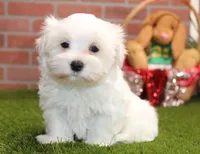 processed/8434c1e3-3117-4f86-8222-c838ca908755/listing/46631c45-68d1-494e-80c6-7854a5bcaea5/68cc1ca9-b30e-4d78-a437-49abe3db521e