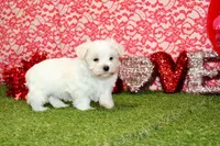 processed/8434c1e3-3117-4f86-8222-c838ca908755/listing/46631c45-68d1-494e-80c6-7854a5bcaea5/760bcd38-c722-41bd-a498-af5d5c81230f