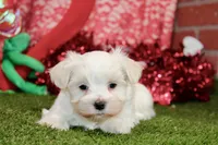 processed/8434c1e3-3117-4f86-8222-c838ca908755/listing/46631c45-68d1-494e-80c6-7854a5bcaea5/8db59464-e5fc-44ac-b774-4ba42d8e7c09