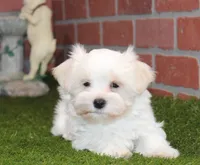 processed/8434c1e3-3117-4f86-8222-c838ca908755/listing/46631c45-68d1-494e-80c6-7854a5bcaea5/9611d6cc-cfbf-4f12-a5df-854cbda7aa12