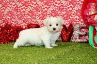 processed/8434c1e3-3117-4f86-8222-c838ca908755/listing/46631c45-68d1-494e-80c6-7854a5bcaea5/a849ee85-0496-44b5-a17f-8d5245b19754