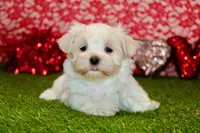 processed/8434c1e3-3117-4f86-8222-c838ca908755/listing/46631c45-68d1-494e-80c6-7854a5bcaea5/e977d5a1-16e5-4d03-a6ac-2aa4cada4c63