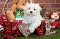 processed/8434c1e3-3117-4f86-8222-c838ca908755/listing/46631c45-68d1-494e-80c6-7854a5bcaea5/ef9a01d9-6505-4690-8cac-3640ddb2bab5