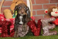 processed/8434c1e3-3117-4f86-8222-c838ca908755/listing/4742d436-418a-4d76-9d69-bcec5aa90a63/2625b2bd-d3f2-4b20-a2e3-2a32de386be9