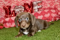 processed/8434c1e3-3117-4f86-8222-c838ca908755/listing/4742d436-418a-4d76-9d69-bcec5aa90a63/42c7c835-624f-4740-bc00-9cdd4e5468ee