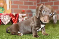 processed/8434c1e3-3117-4f86-8222-c838ca908755/listing/4742d436-418a-4d76-9d69-bcec5aa90a63/710475f6-5a3a-4327-9d43-dfc9a4847680