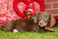 processed/8434c1e3-3117-4f86-8222-c838ca908755/listing/4742d436-418a-4d76-9d69-bcec5aa90a63/71b5bb89-6de2-4916-82f2-14666001b3fe