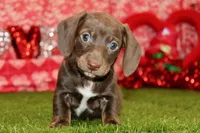 processed/8434c1e3-3117-4f86-8222-c838ca908755/listing/4742d436-418a-4d76-9d69-bcec5aa90a63/cccdd271-bfbf-416e-91d4-1cab653e49d9