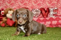 processed/8434c1e3-3117-4f86-8222-c838ca908755/listing/4742d436-418a-4d76-9d69-bcec5aa90a63/ed98051c-ed6d-4683-853c-6e9199ad0c3d