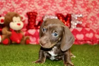 processed/8434c1e3-3117-4f86-8222-c838ca908755/listing/4742d436-418a-4d76-9d69-bcec5aa90a63/fdf6ccc9-31d0-4edf-b83a-b0d86d868088