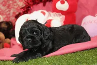 processed/8434c1e3-3117-4f86-8222-c838ca908755/listing/4dbfe7cb-7534-4d8f-a68b-8fade71754ab/2578997b-80e3-4949-b2a1-98eefeea1e54