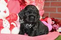 processed/8434c1e3-3117-4f86-8222-c838ca908755/listing/4dbfe7cb-7534-4d8f-a68b-8fade71754ab/2b906809-3172-4770-b60e-5a04437bce04