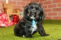 processed/8434c1e3-3117-4f86-8222-c838ca908755/listing/4dbfe7cb-7534-4d8f-a68b-8fade71754ab/2db923b0-8ce4-4d48-87b7-ad41bd0d6235