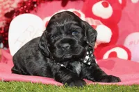 processed/8434c1e3-3117-4f86-8222-c838ca908755/listing/4dbfe7cb-7534-4d8f-a68b-8fade71754ab/2ffdf7a1-c25d-4b1d-9e43-bfba147735f0