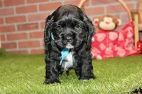 processed/8434c1e3-3117-4f86-8222-c838ca908755/listing/4dbfe7cb-7534-4d8f-a68b-8fade71754ab/69d22bfc-5a2f-4c05-9ea1-b718f6a29592