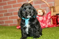 processed/8434c1e3-3117-4f86-8222-c838ca908755/listing/4dbfe7cb-7534-4d8f-a68b-8fade71754ab/8bcc8619-1226-4682-8241-c2ad0c2c6c63