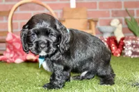 processed/8434c1e3-3117-4f86-8222-c838ca908755/listing/4dbfe7cb-7534-4d8f-a68b-8fade71754ab/b38f94f1-41dd-43dd-ac3d-1e966eb1e984