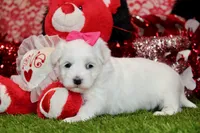 processed/8434c1e3-3117-4f86-8222-c838ca908755/listing/7629a413-2cad-4c46-81f3-22a0d4f06d75/2234817e-3395-46d2-a0f2-14f1bf2af6ff