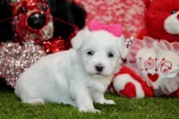 processed/8434c1e3-3117-4f86-8222-c838ca908755/listing/7629a413-2cad-4c46-81f3-22a0d4f06d75/854a802c-cdce-46b2-b0ea-d1d40b08340a