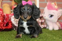 processed/8434c1e3-3117-4f86-8222-c838ca908755/listing/92c81735-8143-4464-932a-ca09231b0249/080cf9ee-d648-44d4-bfbb-f63e2d4874a0