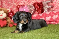 processed/8434c1e3-3117-4f86-8222-c838ca908755/listing/92c81735-8143-4464-932a-ca09231b0249/12af442f-4669-489d-a546-df20720401e1