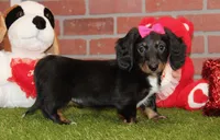 processed/8434c1e3-3117-4f86-8222-c838ca908755/listing/92c81735-8143-4464-932a-ca09231b0249/30df7abc-04df-4ac8-9c99-d22993212a8c