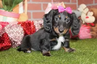 processed/8434c1e3-3117-4f86-8222-c838ca908755/listing/92c81735-8143-4464-932a-ca09231b0249/3fef6abf-7a86-4896-8461-6e89e8b55693