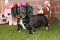 processed/8434c1e3-3117-4f86-8222-c838ca908755/listing/92c81735-8143-4464-932a-ca09231b0249/4a87eb9b-ee80-4fde-9de6-407c64345427