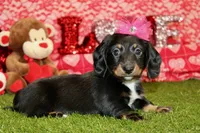 processed/8434c1e3-3117-4f86-8222-c838ca908755/listing/92c81735-8143-4464-932a-ca09231b0249/8a76a4e0-701f-4782-99bc-f4cacae25878