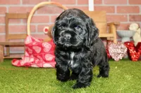 processed/8434c1e3-3117-4f86-8222-c838ca908755/listing/94d0b40f-572f-434a-9e93-279f195e89f0/4b729e91-df4c-4049-8470-ed2a6fd93834