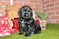 processed/8434c1e3-3117-4f86-8222-c838ca908755/listing/94d0b40f-572f-434a-9e93-279f195e89f0/5606509a-1fda-44ce-b651-4a19c7e9d9c8