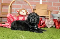 processed/8434c1e3-3117-4f86-8222-c838ca908755/listing/94d0b40f-572f-434a-9e93-279f195e89f0/cc980f76-1b7f-4ff4-8a4f-193821e44816