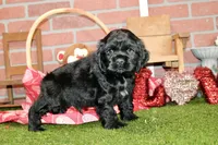 processed/8434c1e3-3117-4f86-8222-c838ca908755/listing/94d0b40f-572f-434a-9e93-279f195e89f0/ed7a8f8e-64cc-4a29-80be-cbc6897a9fdf