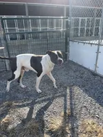 processed/8434c1e3-3117-4f86-8222-c838ca908755/listing/a4afe6c4-aded-4c57-8384-3542890944b3/6a2dc05e-235c-4b9f-9967-ce7fd2b75c2b