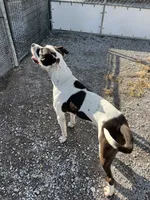 processed/8434c1e3-3117-4f86-8222-c838ca908755/listing/a4afe6c4-aded-4c57-8384-3542890944b3/a02203b4-59e1-403e-828a-8c4de4c9d199