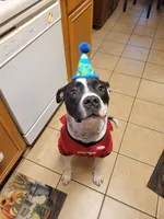 processed/8434c1e3-3117-4f86-8222-c838ca908755/listing/a4afe6c4-aded-4c57-8384-3542890944b3/b0dacb7e-973e-4630-a44f-62f6481e0ce9