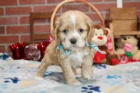 processed/8434c1e3-3117-4f86-8222-c838ca908755/listing/c1c65b76-dcdc-4d73-841d-d5d679521f06/706d06f3-b789-4a9e-88f0-bea74f091432