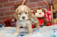 processed/8434c1e3-3117-4f86-8222-c838ca908755/listing/c1c65b76-dcdc-4d73-841d-d5d679521f06/a475beeb-1738-4d6a-a1e3-5c38d1abb440