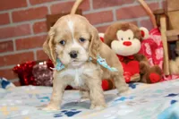 processed/8434c1e3-3117-4f86-8222-c838ca908755/listing/c1c65b76-dcdc-4d73-841d-d5d679521f06/c8d11a66-db97-4ebb-8b71-8cc997038a61