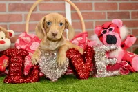 processed/8434c1e3-3117-4f86-8222-c838ca908755/listing/c6ae3b6f-1cf9-45d5-90d2-86fd226072bb/1b8f5b3d-1671-47f6-9c42-cd01a0e0d567