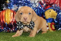 processed/8434c1e3-3117-4f86-8222-c838ca908755/listing/c6ae3b6f-1cf9-45d5-90d2-86fd226072bb/cd90bf3a-09fe-464e-9cae-c6b51f0f68c3