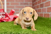 processed/8434c1e3-3117-4f86-8222-c838ca908755/listing/c6ae3b6f-1cf9-45d5-90d2-86fd226072bb/db04f551-fe5c-4a16-969e-59dbd4ec10c8